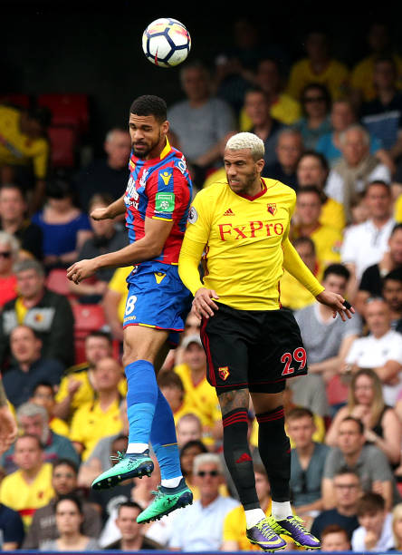 的进一步增 的进一步增