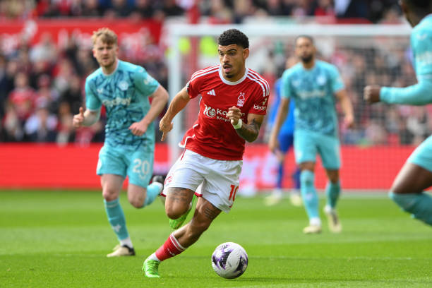 以压倒性的 以压倒性的